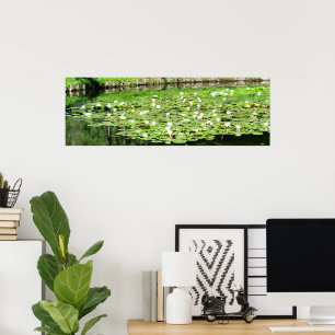 Tiergarten Waterlelies Poster