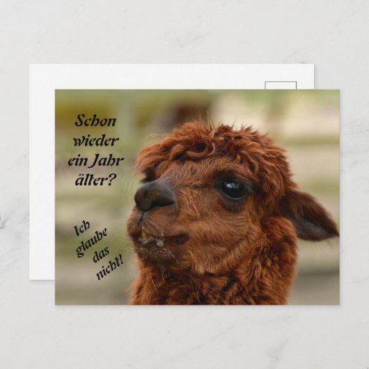 Tierische Grüẞe Alpaka braun Spuckt Uitnodiging Briefkaart (Voorkant / Achterkant)