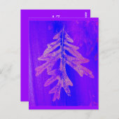 Tiferet Sh'b'tiferet Briefkaart (Voorkant / Achterkant)