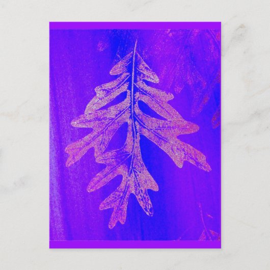 Tiferet Sh'b'tiferet Briefkaart (Voorkant)