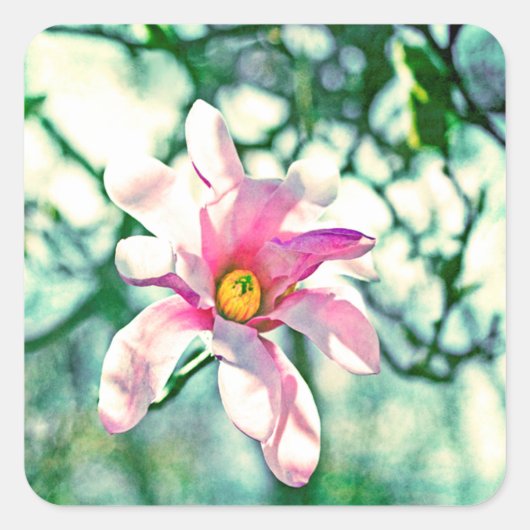 Tiffany Magnolia Vierkante Sticker (Voorkant)