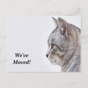 Tiffany We hebben het nieuwe adres Briefkaart verp