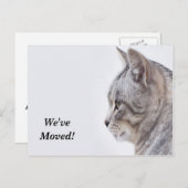 Tiffany We hebben het nieuwe adres Briefkaart verp (Voorkant / Achterkant)