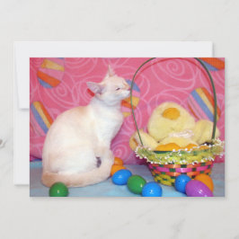Tiffanys Paasmand - Kat/ Kitten  - Vlakke kaart