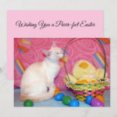 Tiffanys Pasenmand - Kat/ Kitten - Vlakke kaart (Voorkant / Achterkant)