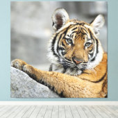 Tiger016 Canvas Afdruk (Insitu (Houten vloer))