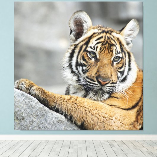 Tiger016 Canvas Afdruk (Insitu (Houten vloer))