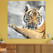 Tiger016 Canvas Afdruk (Insitu (Woonkamer))