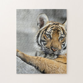 Tiger016 Legpuzzel