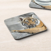 Tiger016 Onderzetter (Linkerzijde)