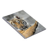 Tiger017 Notitieboek (Rechterzijde)