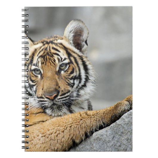 Tiger017 Notitieboek (Voorkant)