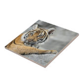 Tiger017 Tegeltje (Zijkant)