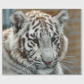 Tiger20151001 Cadeaupapier (Vlak)