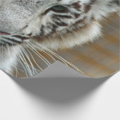 Tiger20151001 Cadeaupapier (Hoek)