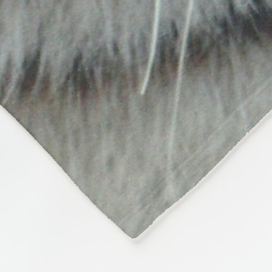 Tiger20151001 Fleece Deken (Hoek)