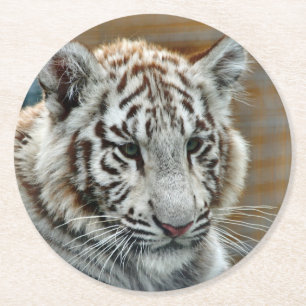 Tiger20151001 Ronde Kartonnen Onderzetter