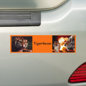 Tiger4ever Bumpersticker (Op auto)
