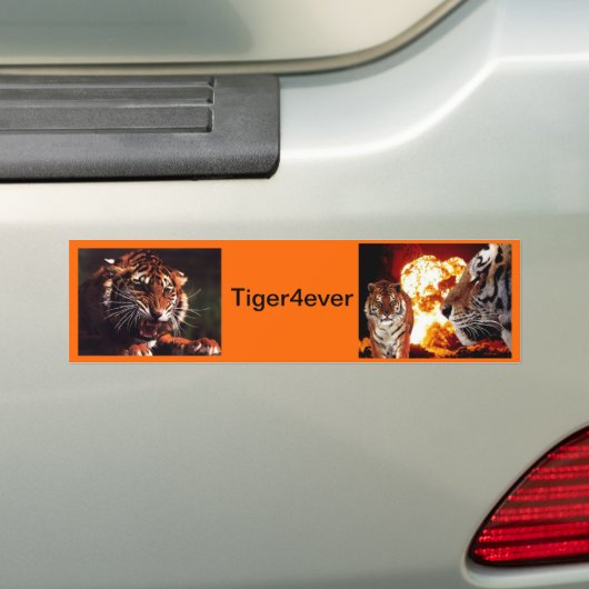 Tiger4ever Bumpersticker (Op auto)