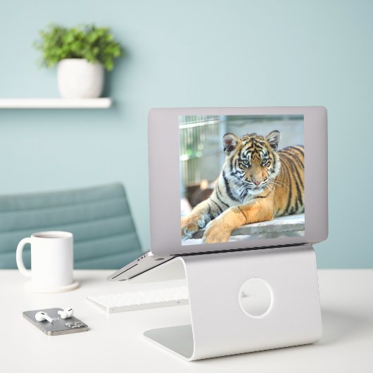 Tiger 034 sticker (Laptop op bureau)