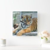 Tiger 034 vierkante klok (Huis)