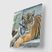 Tiger 034 vierkante klok (Hoek)