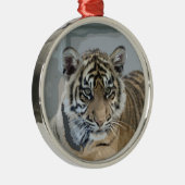 Tiger_2014_0901 Metalen Ornament (Rechts)