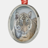 Tiger_2014_0901 Metalen Ornament (Links)