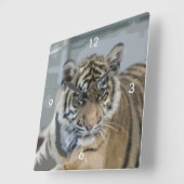 Tiger_2014_0901 Vierkante Klok (Hoek)