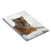 Tiger_2015_0102 Notitieboek (Rechterzijde)