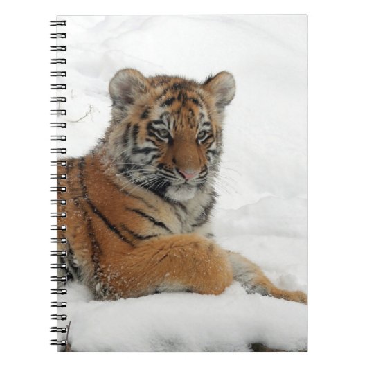 Tiger_2015_0102 Notitieboek (Voorkant)