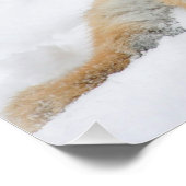 Tiger_2015_0103 Poster (Hoek)