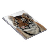 Tiger_2015_0114 Notitieboek (Rechterzijde)