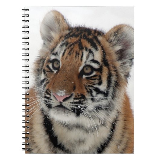Tiger_2015_0114 Notitieboek (Voorkant)