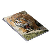 Tiger_2015_0156 Notitieboek (Rechterzijde)