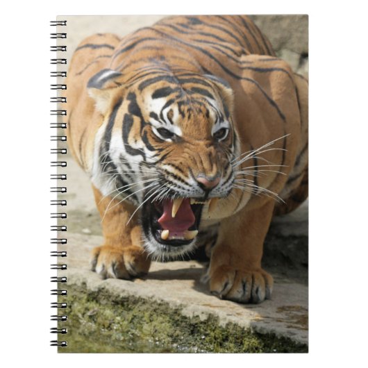 Tiger_2015_0156 Notitieboek (Voorkant)