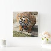 Tiger_2015_0156 Vierkante Klok (Huis)