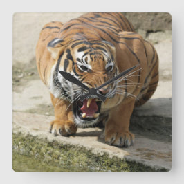 Tiger_2015_0156 Vierkante Klok