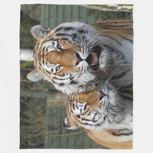 Tiger_2015_0401 Fleece Deken (Voorkant)