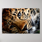 Tiger 3 - Poster (Voorkant)