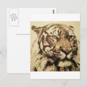 tiger 50x50 2012 briefkaart (Voorkant / Achterkant)