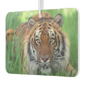 Tiger Air Freshener Luchtverfrisser (Links)