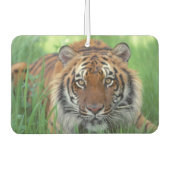 Tiger Air Freshener Luchtverfrisser (Voorkant)