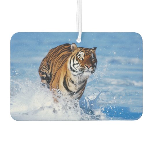 Tiger Air Freshener Luchtverfrisser (Achterkant)