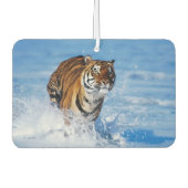 Tiger Air Freshener Luchtverfrisser (Voorkant)
