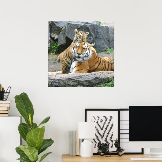 Tiger And Cub Love Poster (Thuiskantoor)
