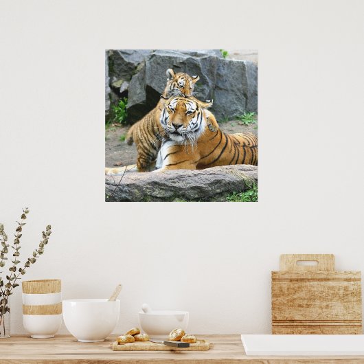 Tiger And Cub Love Poster (Keuken)
