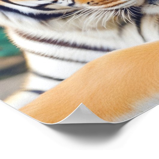 Tiger Animal Natuur Wildlife Affection Caring Poster (Hoek)