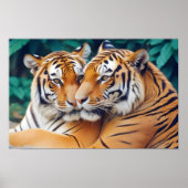Tiger Animal Natuur Wildlife Affection Caring Poster (Voorkant)