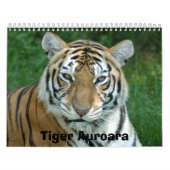 Tiger_Aroara012, Tiger Auroara Kalender (Hoes)